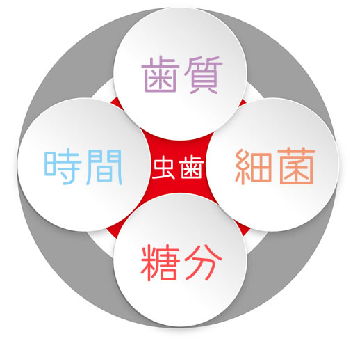 むし歯の４つの原因