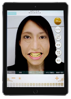 シュミレーション後