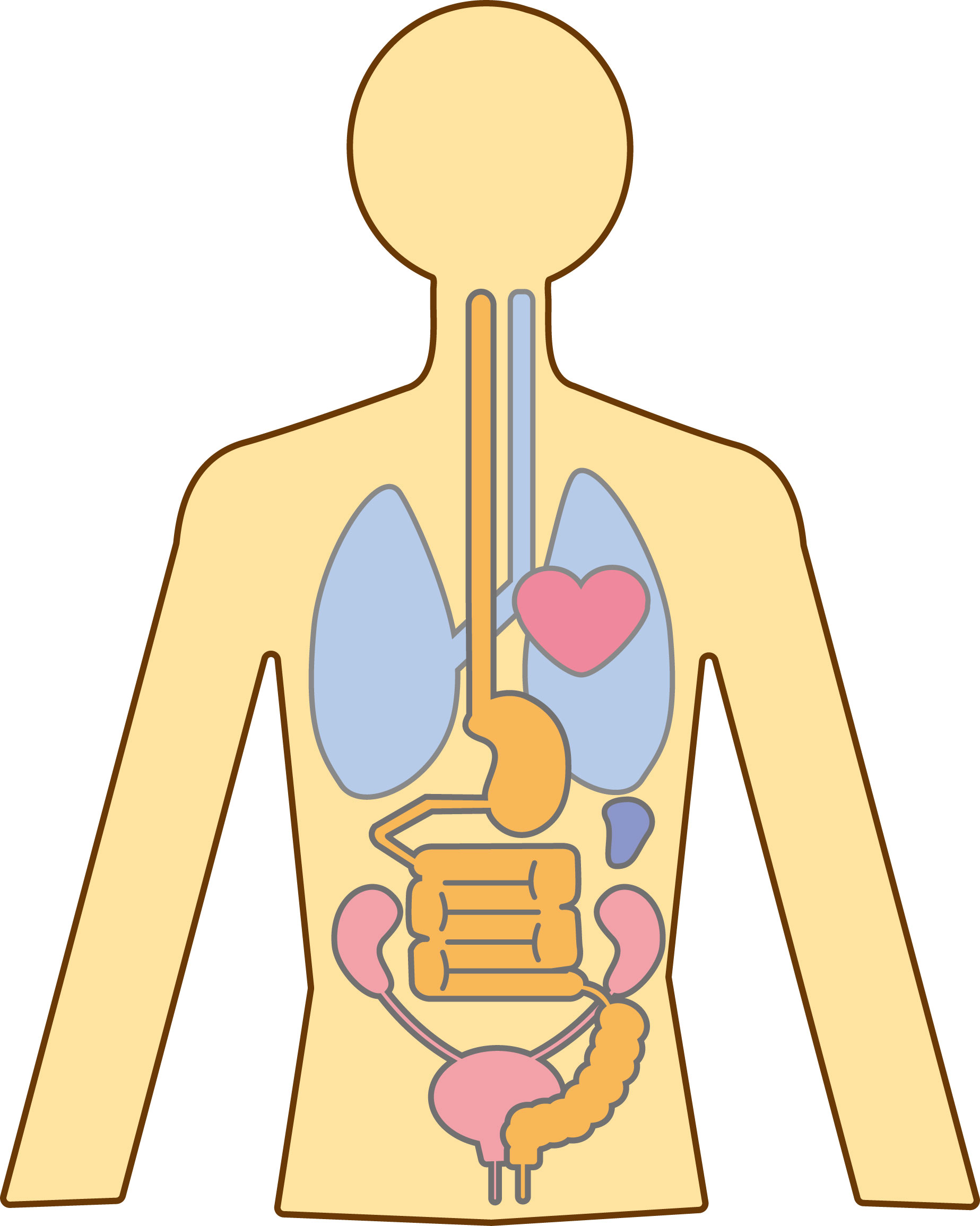 歯と全身の健康の関係